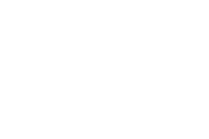 mision chichimequillas